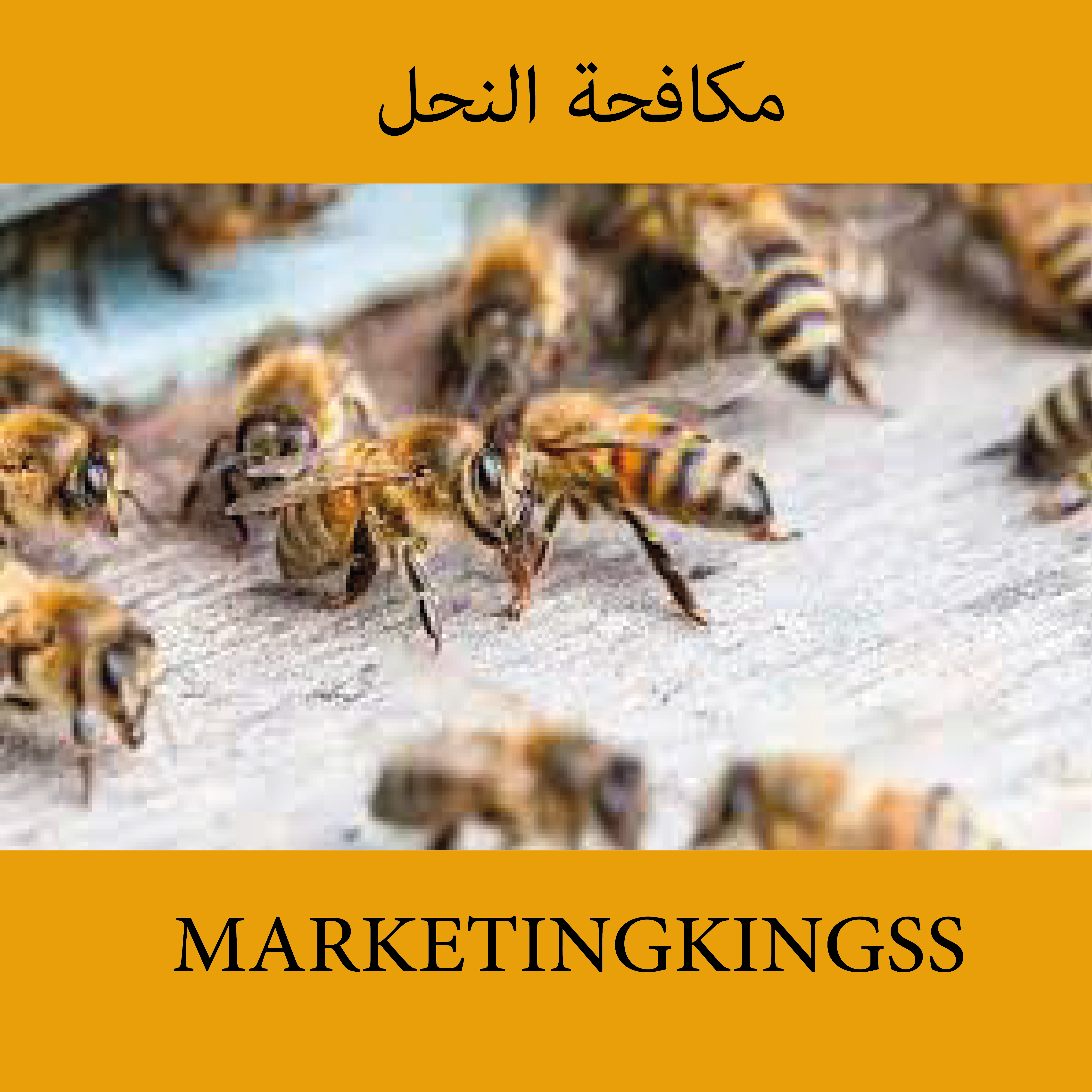 شركة مكافحة النحل بالكويت-مكافحة النحل في المنزل -القضاء علي النحل -شركات مكافحة النحل-طريقة مكافحة النحل -كيفية مكافحة النحل